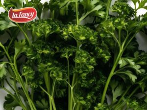 Read more about the article Perbedaan Coriander dan Cilantro
