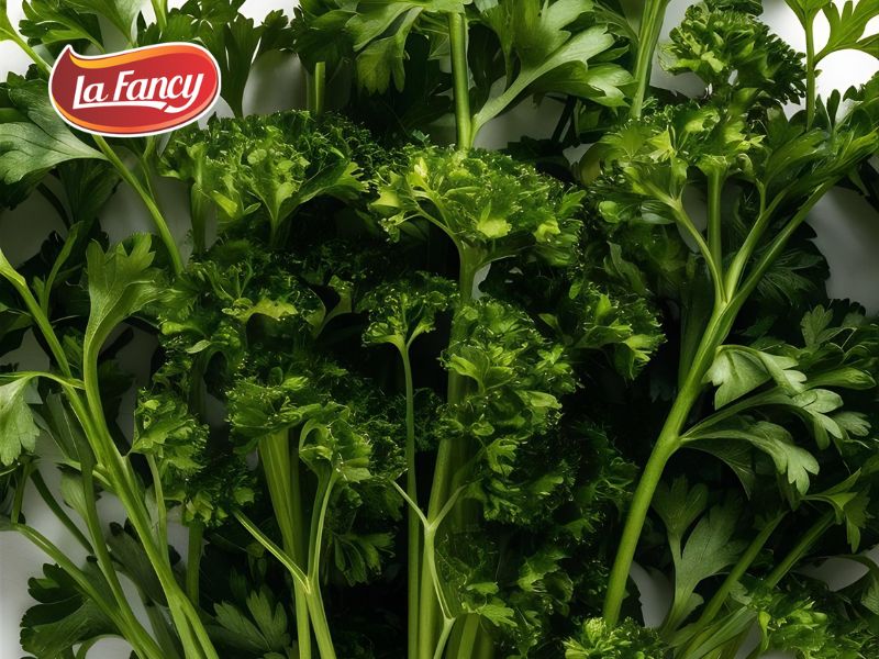 Perbedaan Coriander dan Cilantro